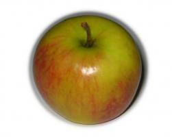 Apfel