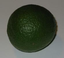 Limette
