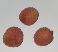 Litschi