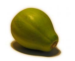 Papaya