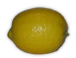 Zitrone