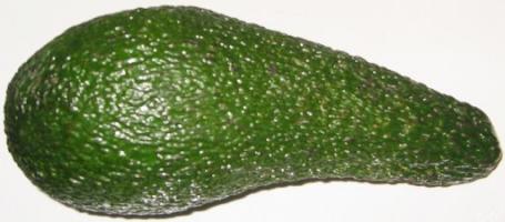 Eine grüne Avocado